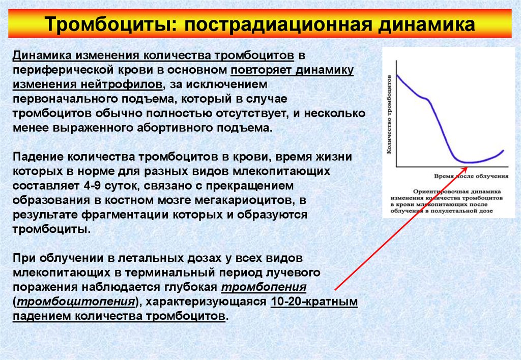 Периоды динамических изменений