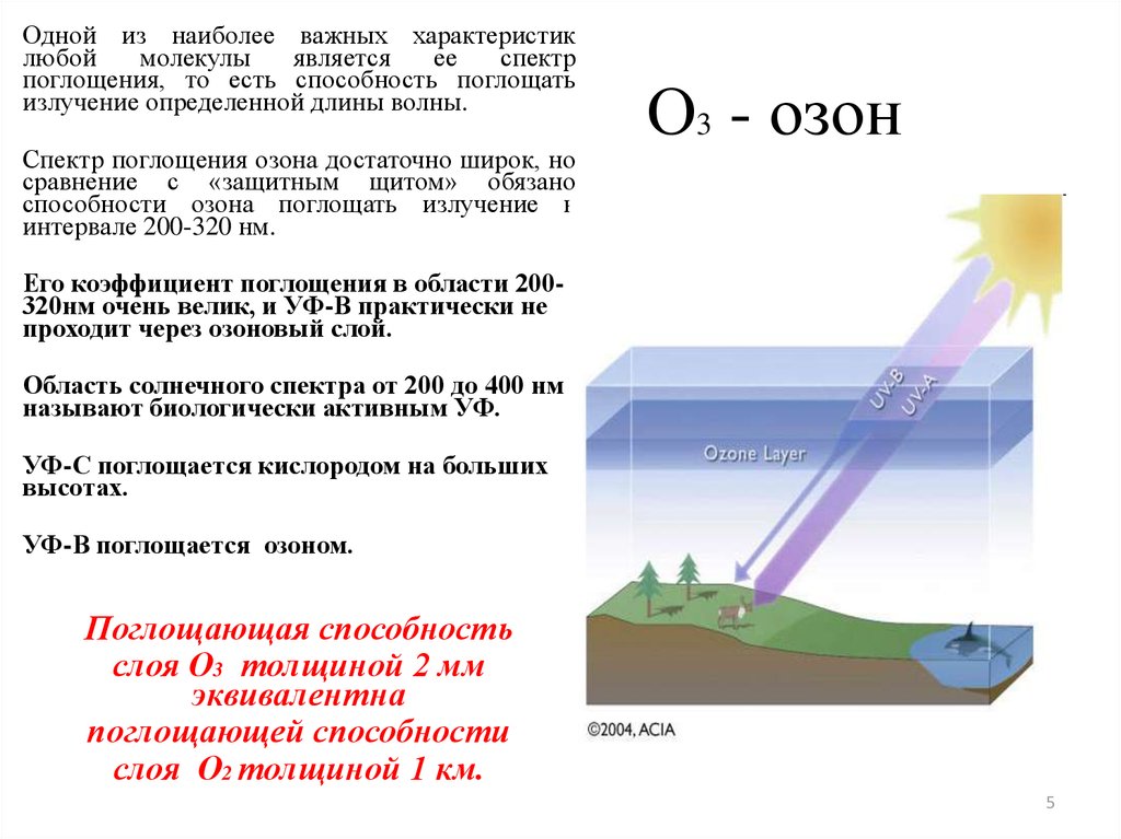 Толщина поглощающего слоя кюветы