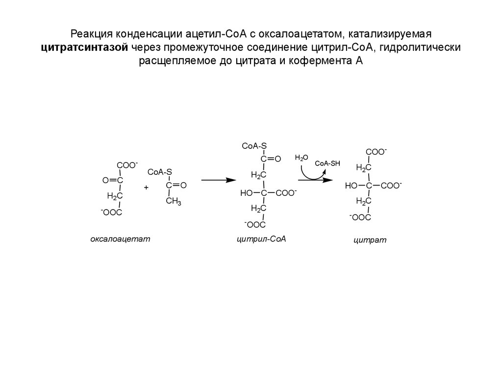 Реакция катализируемая алт. Реакция конденсации оксалоацетата и ацетил-КОА В ЦТК. Реакцию, катализируемую 1,3-бисфосфоглицератмутазой. Реакция оксалоацетат в цитрат. Ацетил ко а и оксалоацетат.