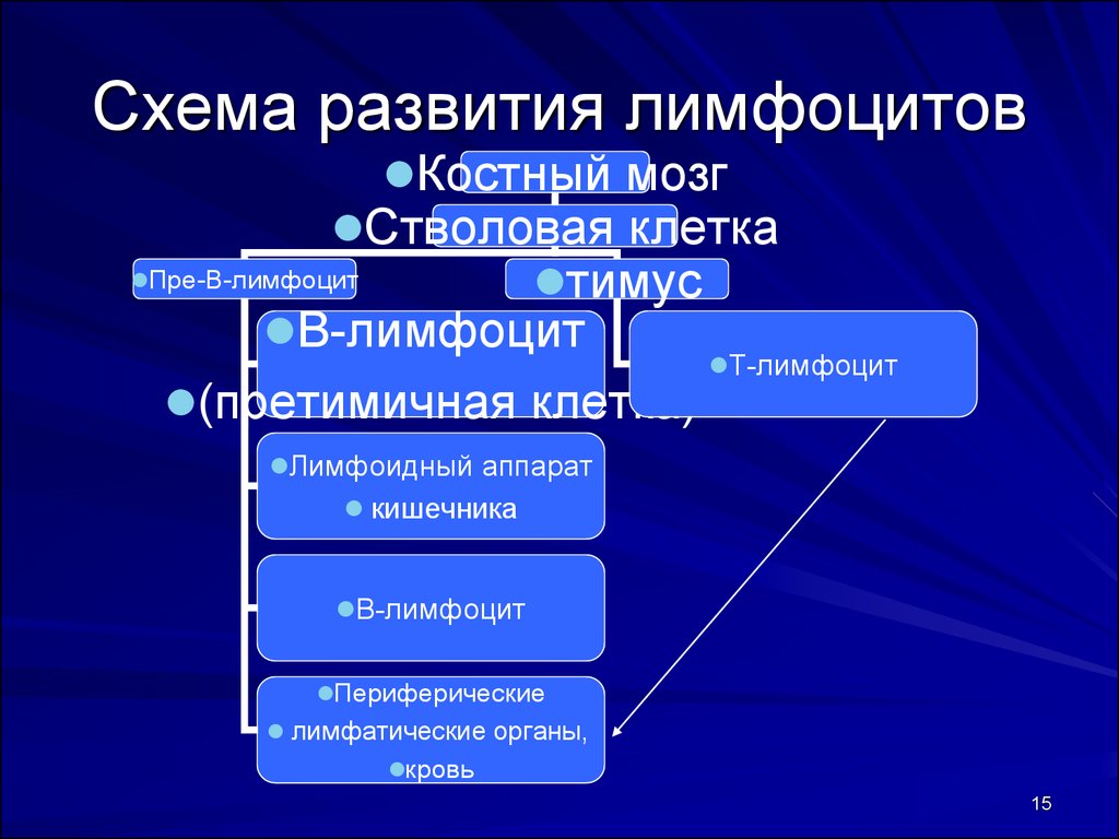 Иммунодефицитные состояния схема