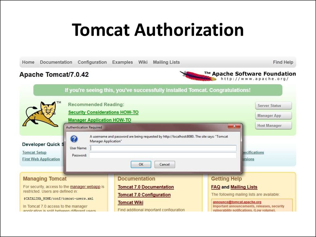 Tomcat Manager password. User authorization failed