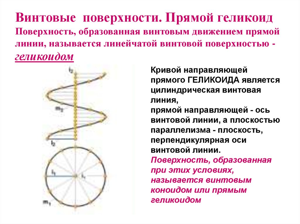 Винтовые цилиндрические поверхности. Винтовые поверхности.геликоид. Параметрическое уравнение прямого геликоида. Винтовые поверхности прямой геликоид. Геликоид параметрическое уравнение.