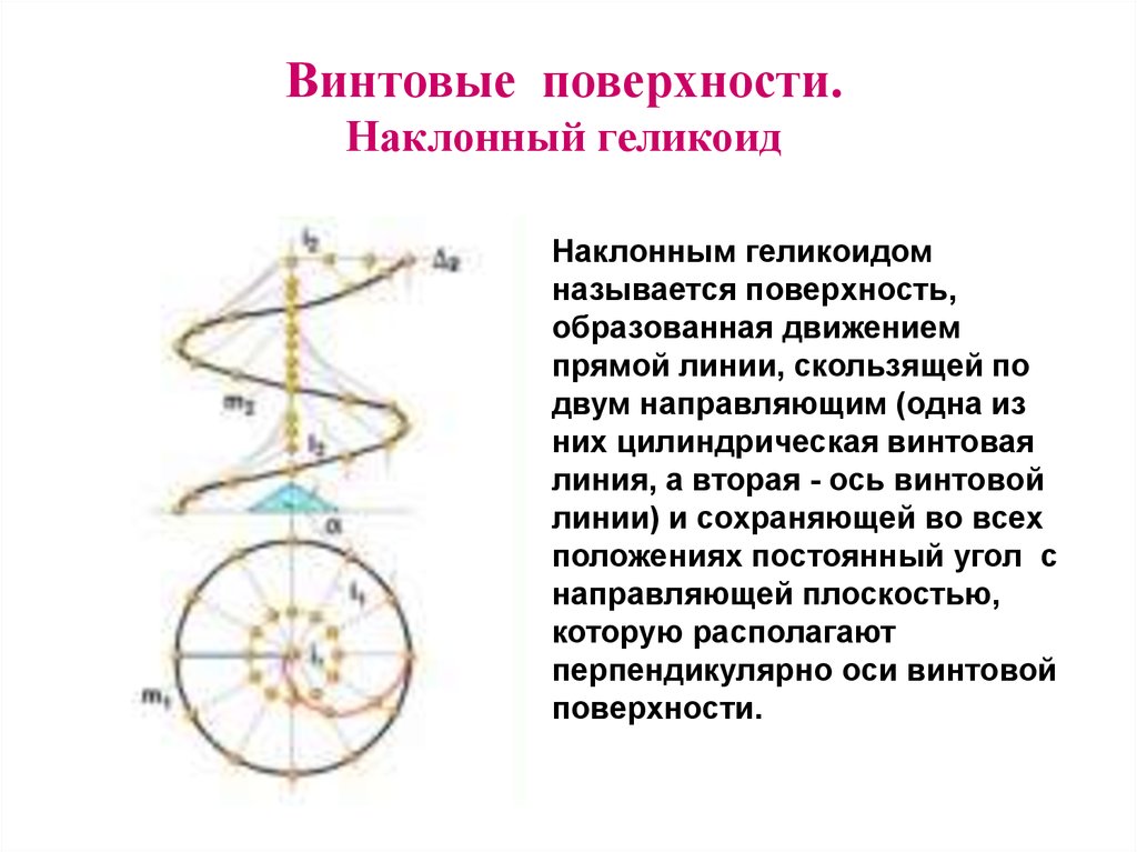 Винтовые цилиндрические поверхности. Винтовые поверхности прямой геликоид. Винтовые поверхности наклонный геликоид. Геликоид Начертательная геометрия. Поверхность наклонного геликоида.