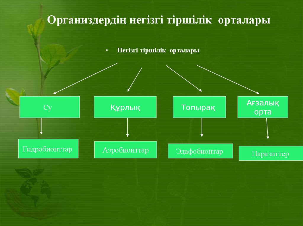 Тірі ағзалардың қоршаған орта жағдайларына бейімделуі презентация