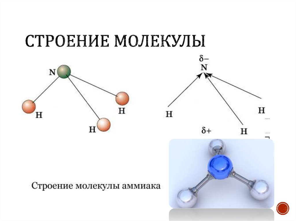 Состав молекулы