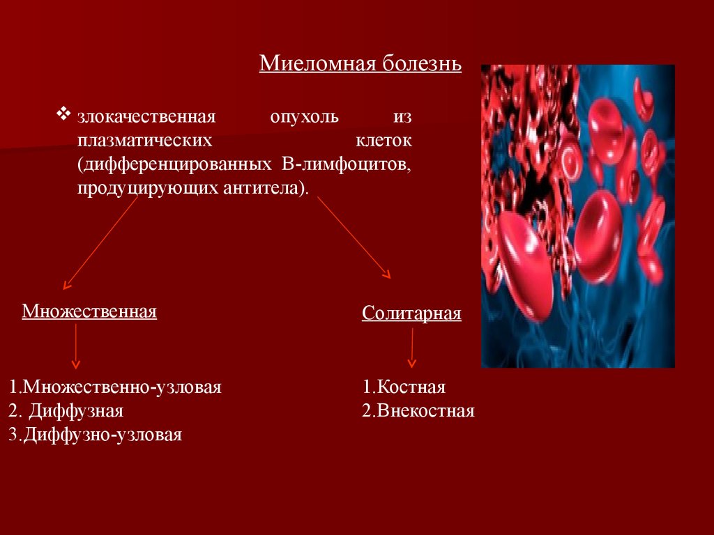 Гемобластозы патологическая анатомия презентация