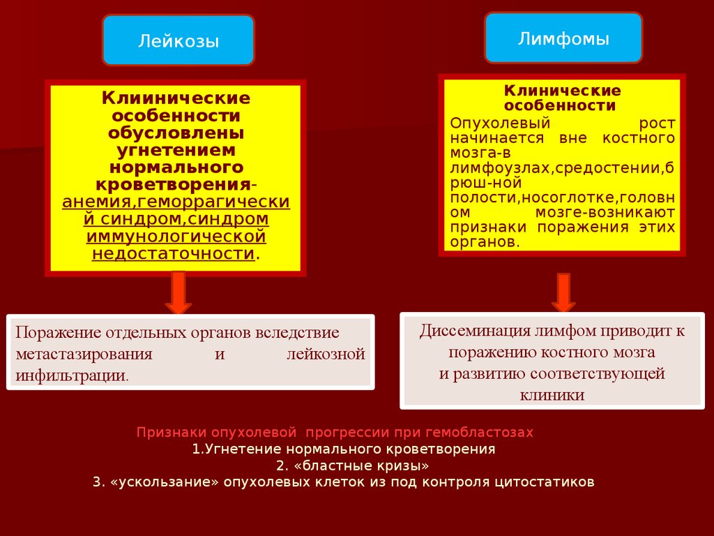 Гемобластозы патологическая анатомия презентация