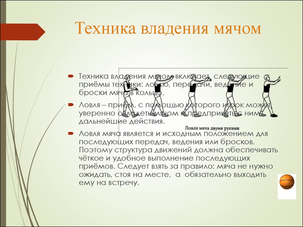 Баскетбол. Основы техники игры в баскетбол - презентация онлайн