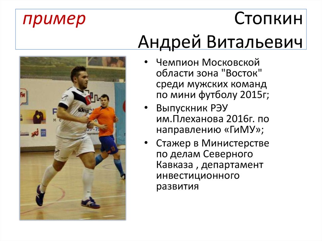 пример Стопкин Андрей Витальевич