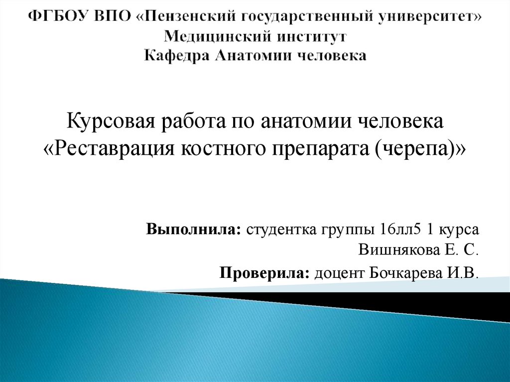 Человек курсовая. ФГБОУ ВПО Пензенский университет. Человек с курсовой работой. ФГОУ ВПО 