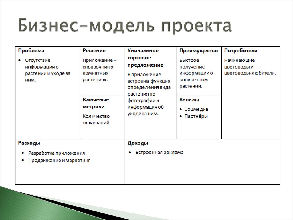 Бизнес-модель проекта