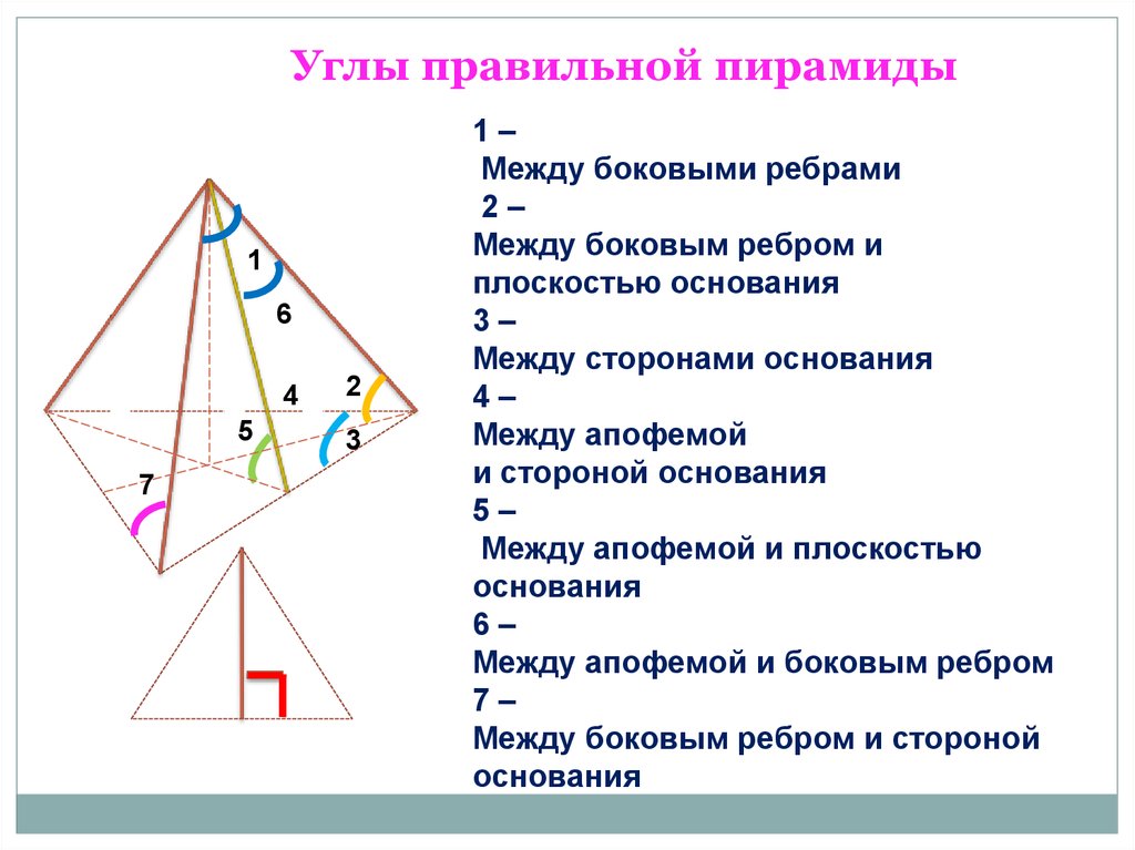 Какой угол у пирамиды. Угол между боковым ребром и основанием правильной пирамиды. Как построить вид сбоку пирамиды. Боковые ребра произвольной пирамиды пирамиды. Угол между боковым ребром и плоскостью основания пирамиды.