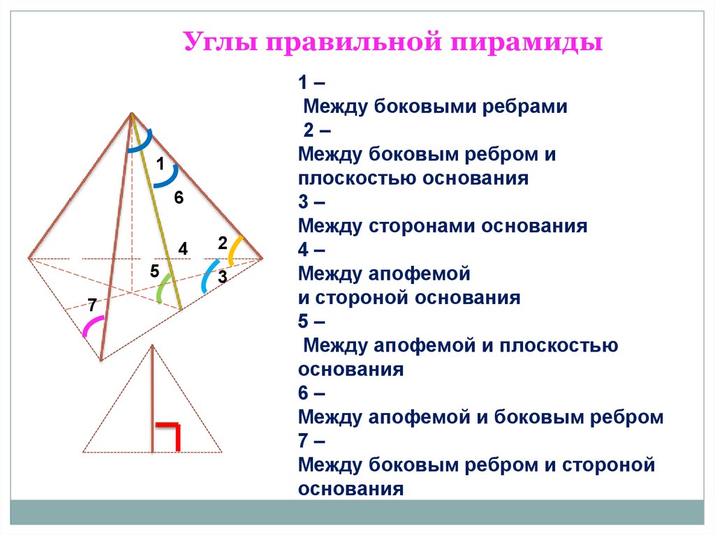 Угол между плоскостью основания. Угол между боковым ребром и плоскостью основания пирамиды. Угол между боковым ребром и плоскостью основания правильной пирамиды. Угол между боковым ребром и плоскостью основания. Как построить вид сбоку пирамиды.