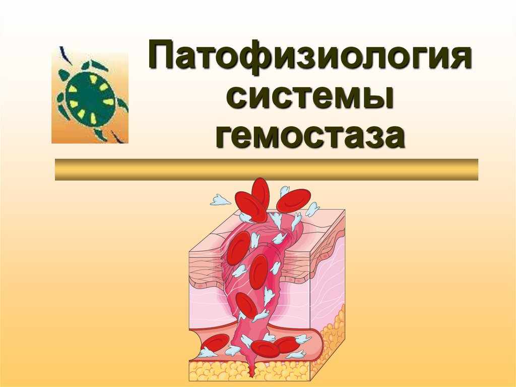 Патофизиология системы гемостаза