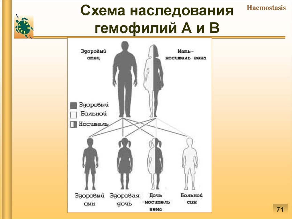 Схема наследования квартиры