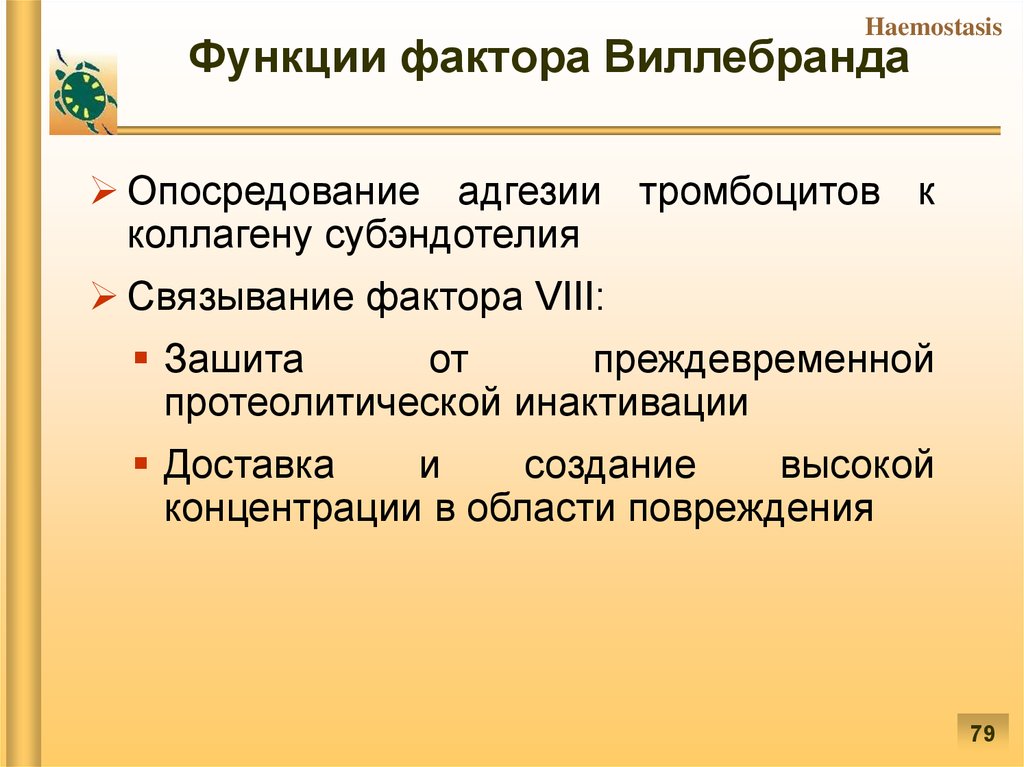 Фактор функции. Фактор Виллебранда VIII фактор. Фактор Виллебранда функции. Фактор Виллебранда это 8 фактор. Виллебранда анализ.