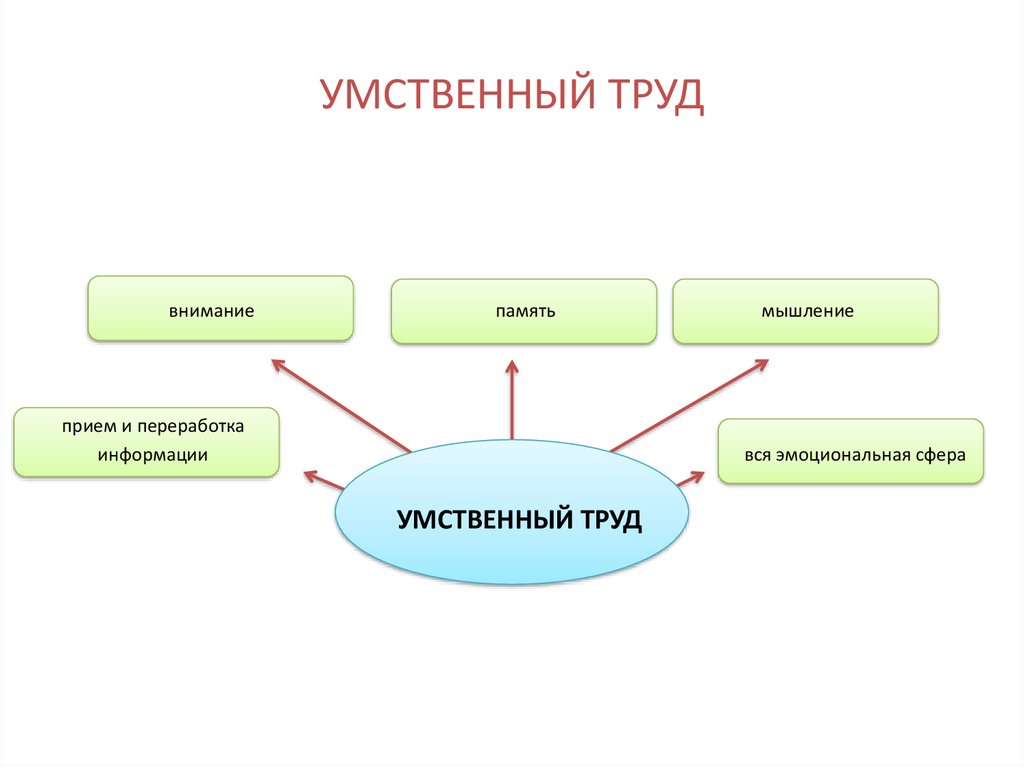 Интеллектуальный труд