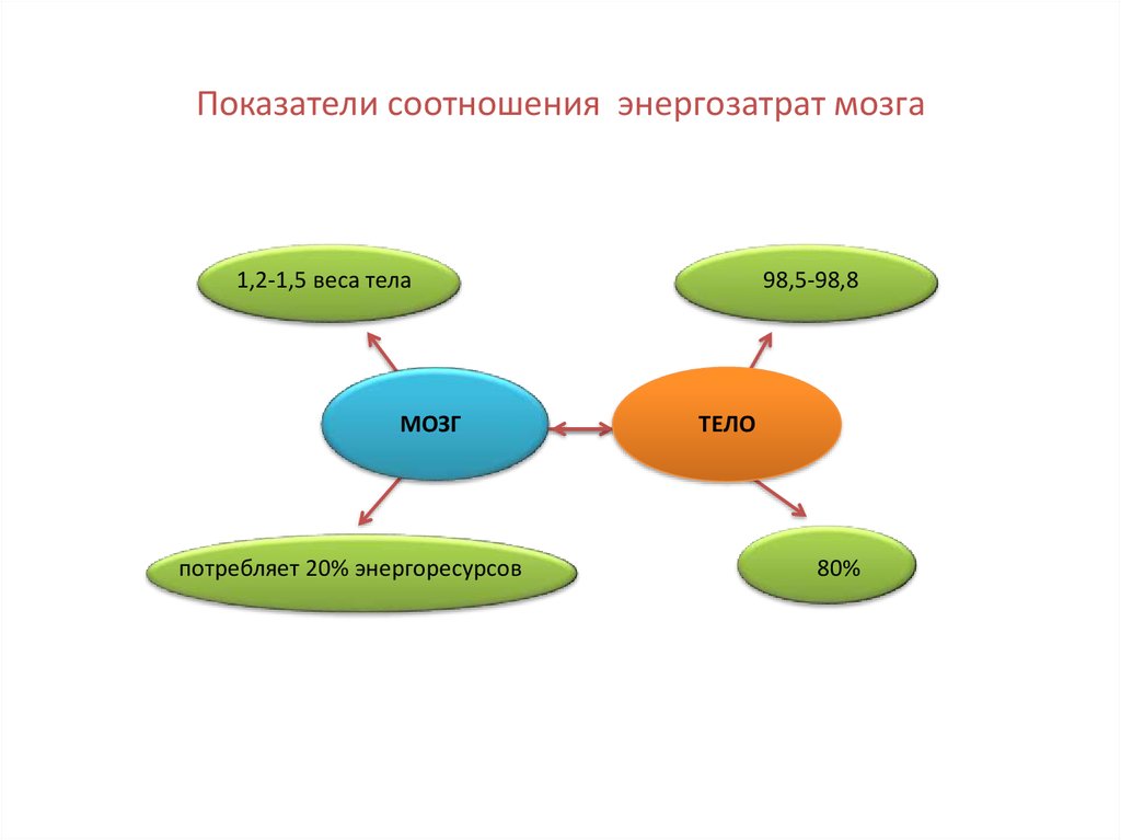 Показатели взаимосвязи. Потребление мозгом энергии организма. Сколько энергии организм тратит мозг. Мозг весит от массы тела и потребляет процентов энергии.