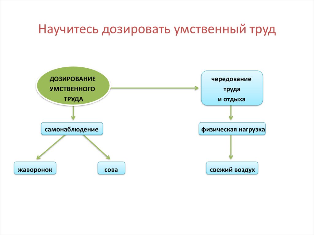 Умственный труд это. Культура умственного труда. Умственный труд схема. Особенности и виды умственного труда. Составляющие умственного труда.