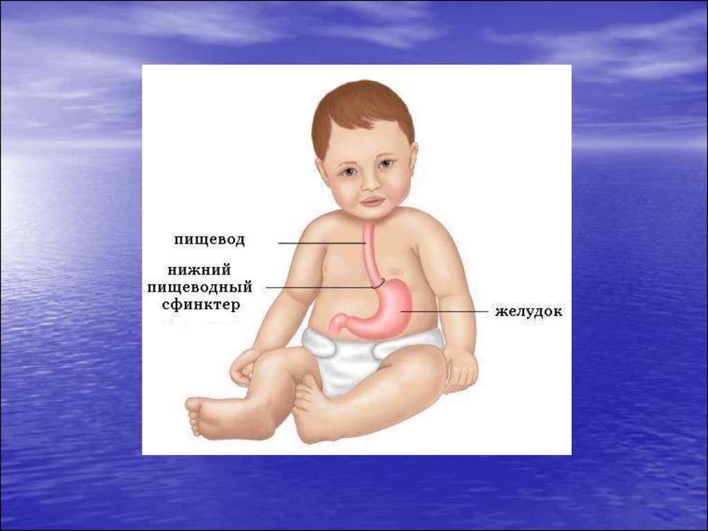 Пищевод у новорожденного. Желудочно-кишечный тракт ребенка. Система пищеварения для детей.