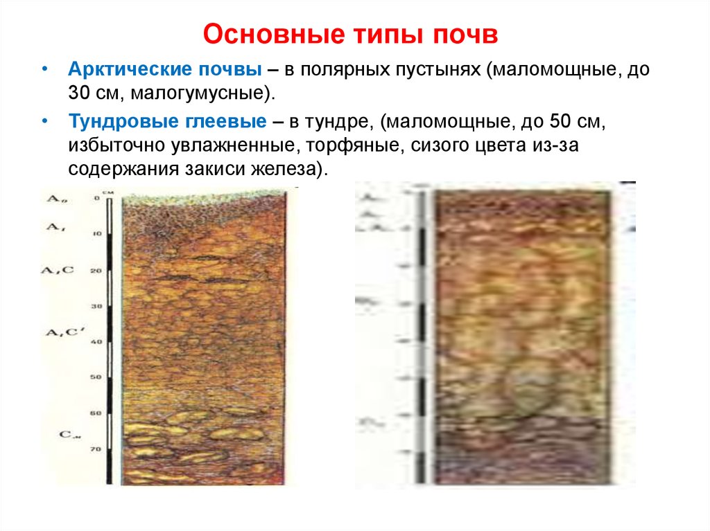 Почему влажная почва прогревается быстрее