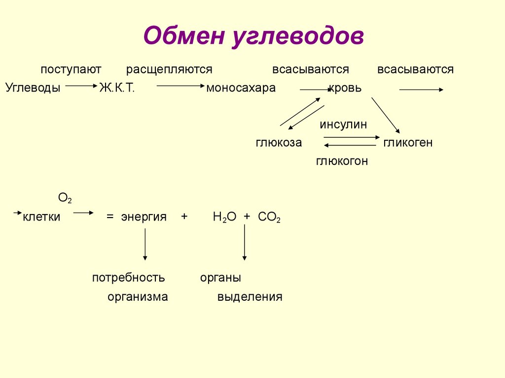 Как происходит обмен углеводов. Схема обменных процессов углеводов. Обмен углеводов в организме человека схема 8 класс. Метаболизм углеводов в организме человека схема. Схема обмена углеводов 8 класс биология.
