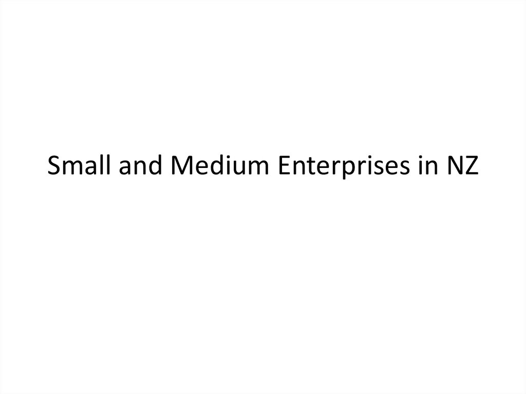 Small and Medium Enterprises in NZ