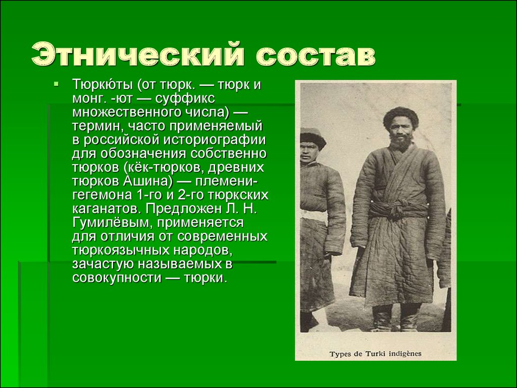 Тюркские племена названия. Тюркские народы. Тюркские народы понятие. Тюркская Национальность.