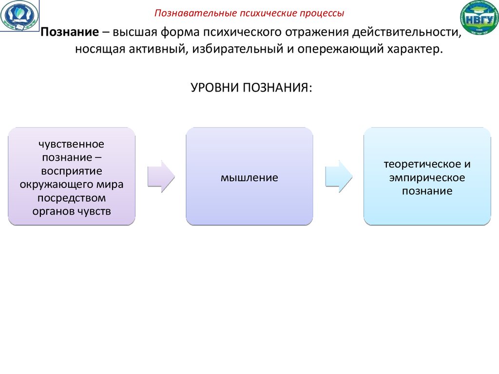 Познавательные процессы это