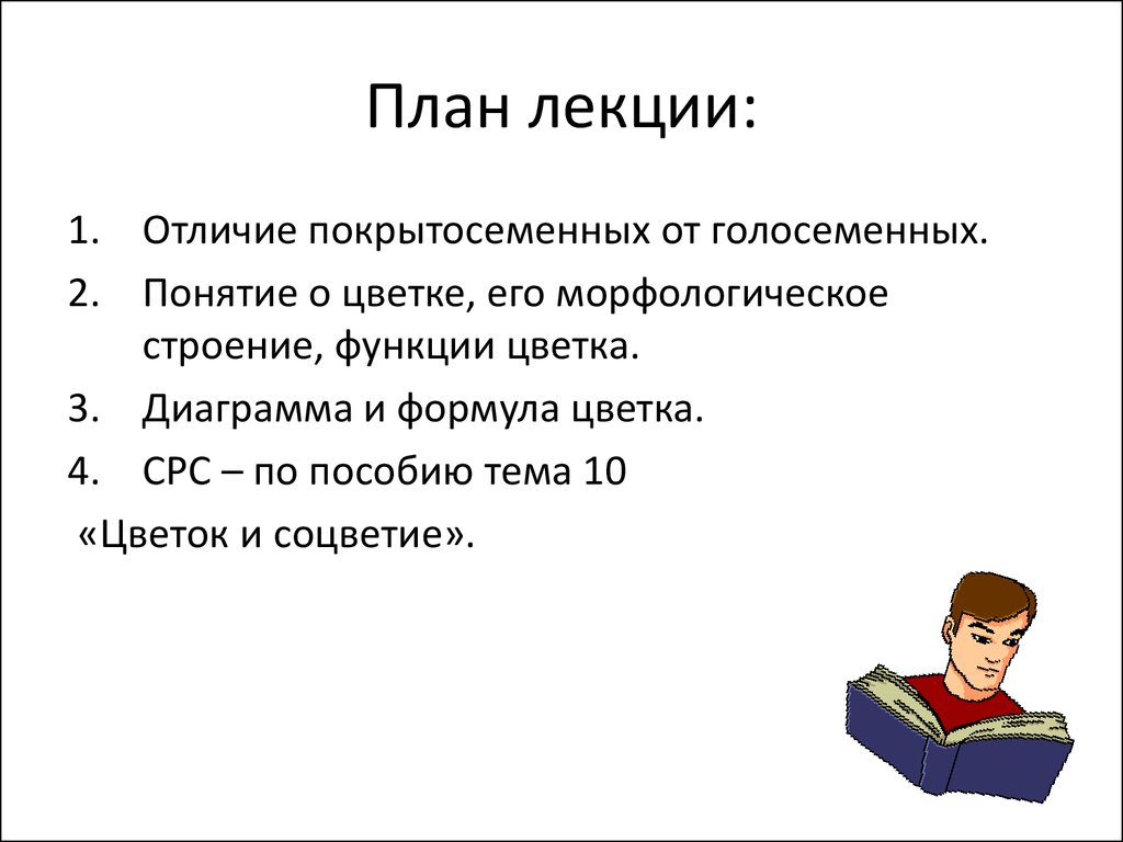 Чем отличается лекция от семинара. План лекции. План лекции картинка. Особенности школьной лекции. План лекции картинки для презентации.