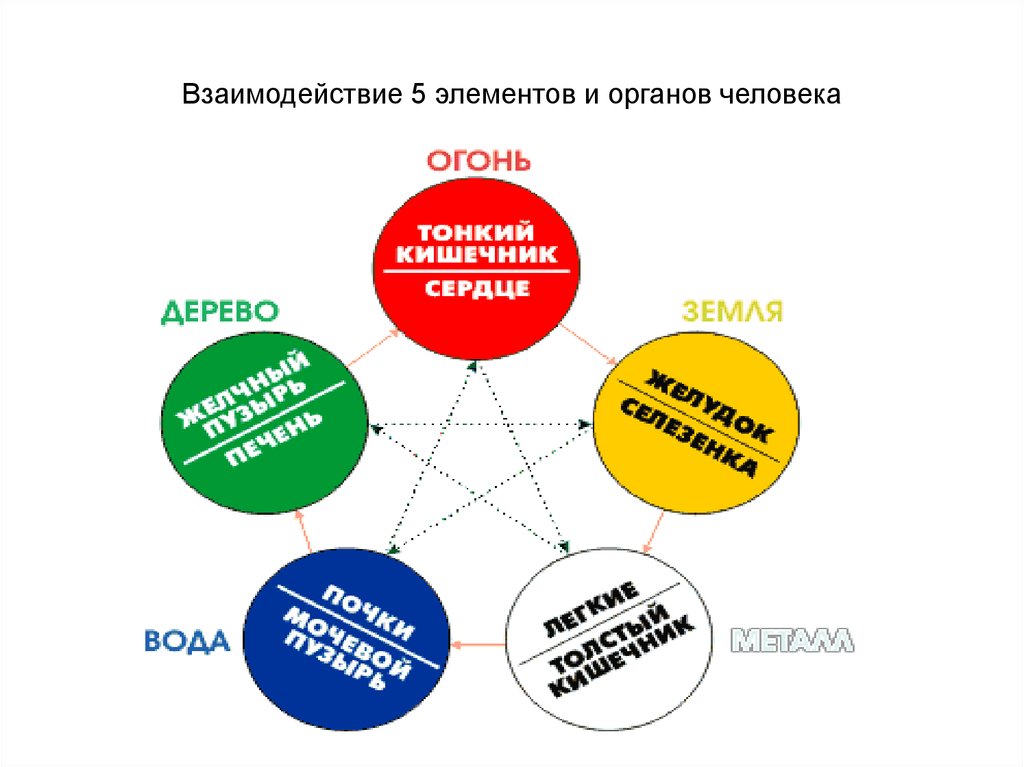 Элементы в органах человека. Взаимодействие элементов. Взаимодействие пяти стихий. Взаимодействие 5 элементов стихий. Взаимодействие пяти элементов.