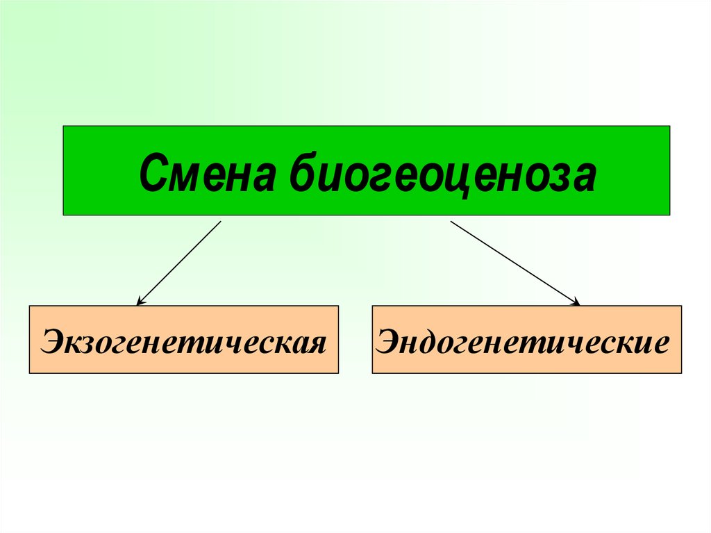 Причины смены биогеоценозов схема