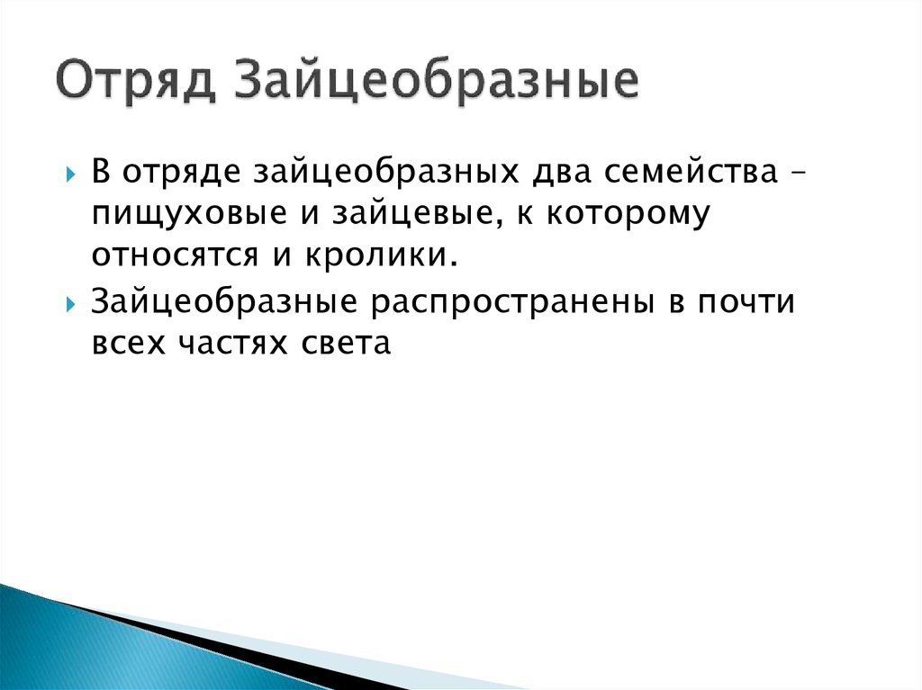 Отряд зайцеобразные. Значение зайцеобразных в природе. Значение зайцеобразных в жизни человека. Зайцеобразные презентация.