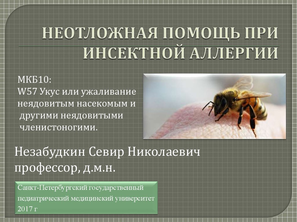 Какие отношения между крапивницей и пчелой. Укус насекомого код мкб 10. Аллергия на укус насекомого код по мкб. Аллергическая реакция на укус насекомого код по мкб 10. Реакция на укус насекомого мкб 10.