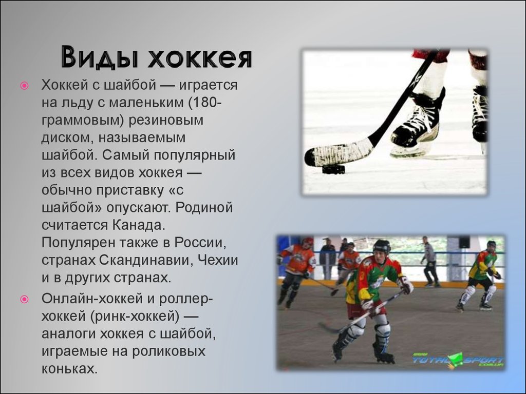 Хоккей с шайбой кратко. Хоккей презентация. Презентация на тему хоккей с шайбой. Виды хоккея. Презентация на тему хоккей по физкультуре.