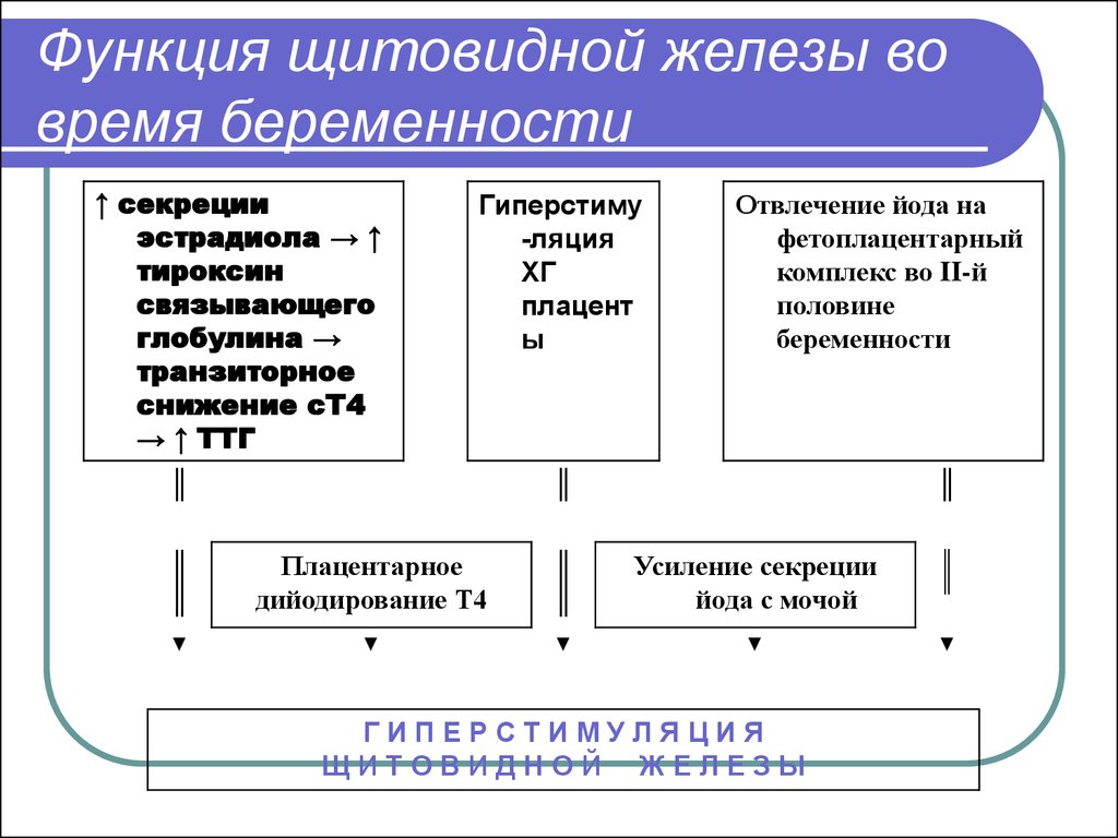 Презентация заболевания щитовидной железы и беременность