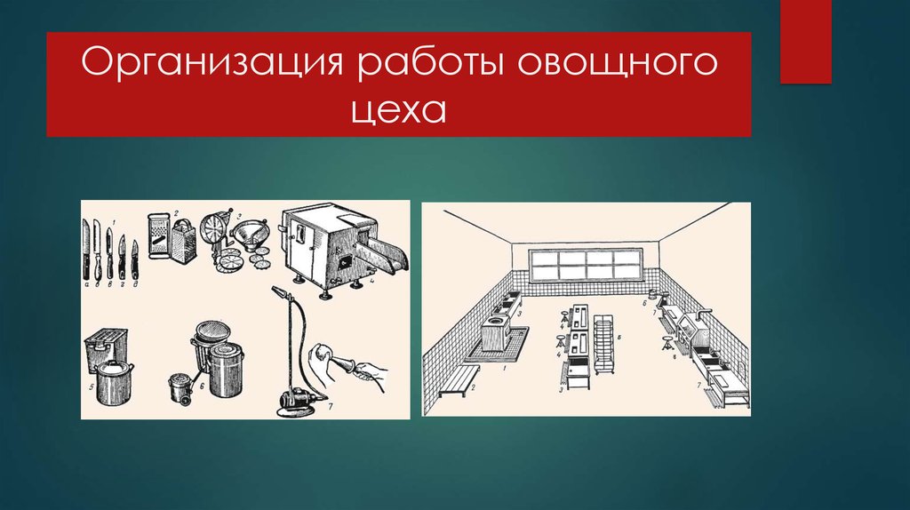 Организация рабочего цеха. Организация работы овощного цеха. Схема овощного цеха. Оборудование овощного цеха. Механическое оборудование овощного цеха.