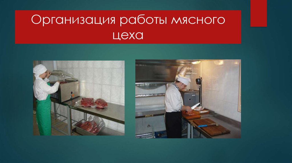 Общественное питание мясо