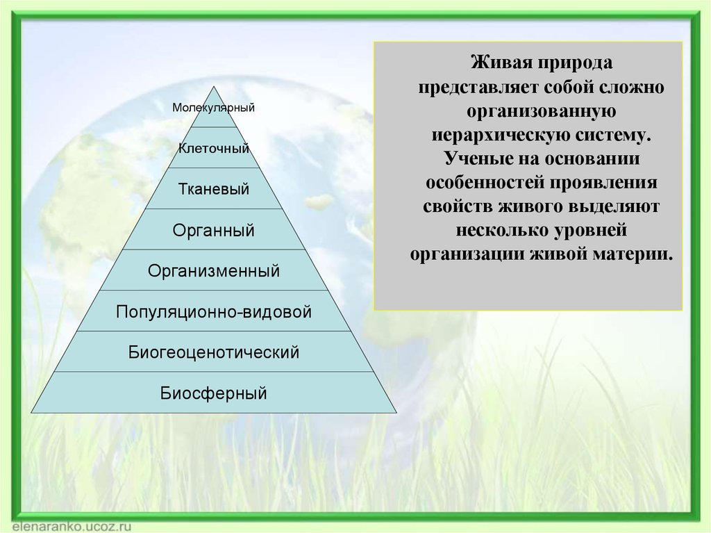 Наименьший уровень организации природы