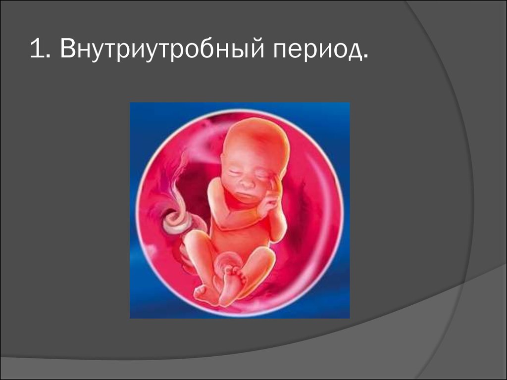 Особенности внутриутробного развития человека. Периоды детства внутриутробный период. Внутрецтробгый периоды. Внутри утробний период. Периоды внутриутробного развития.