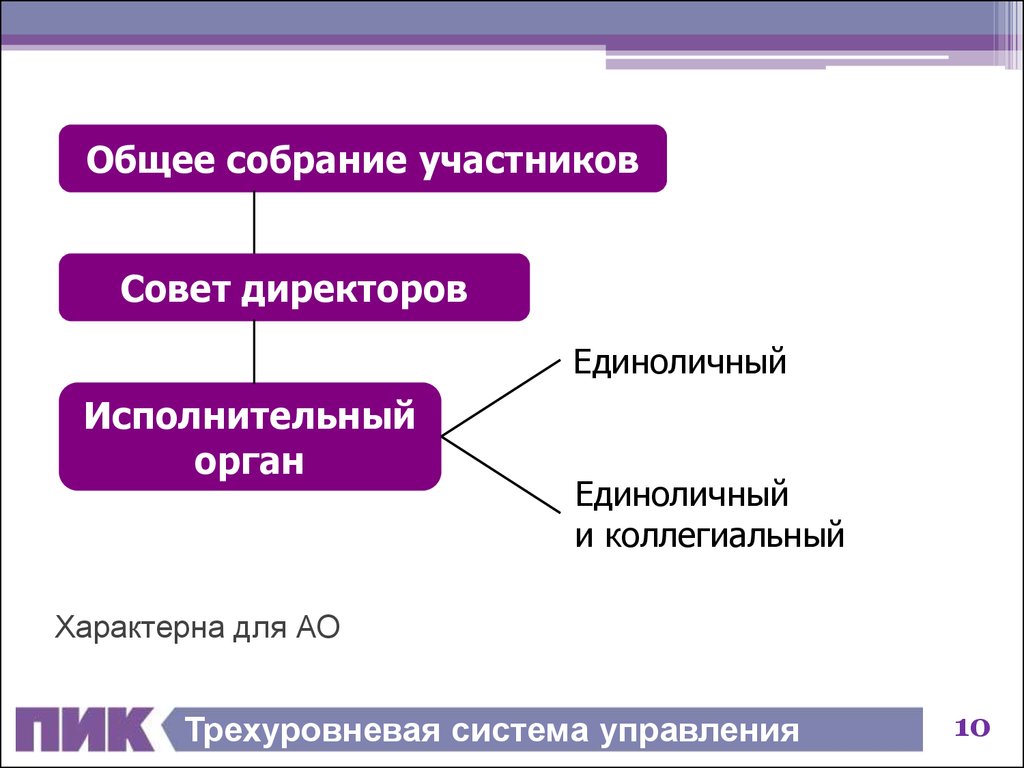 Коллегиальный и единоличный исполнительный орган общества