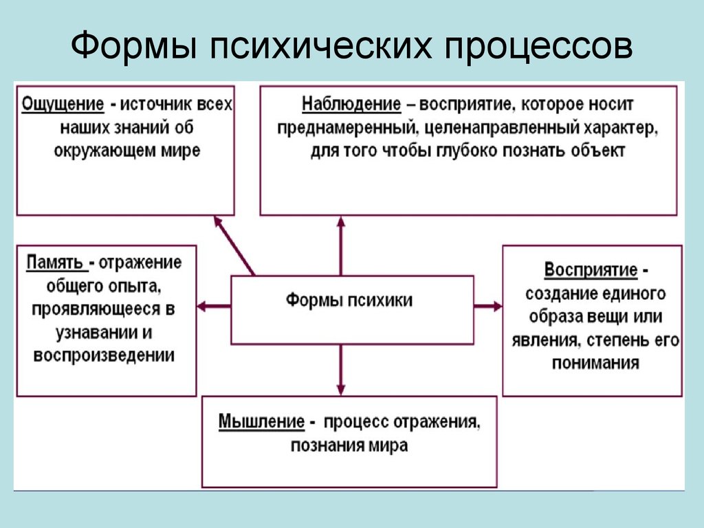 Психические процессы презентация