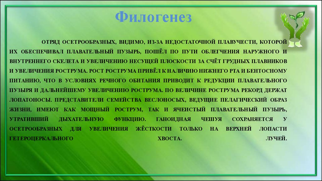 Подкласс 3.2