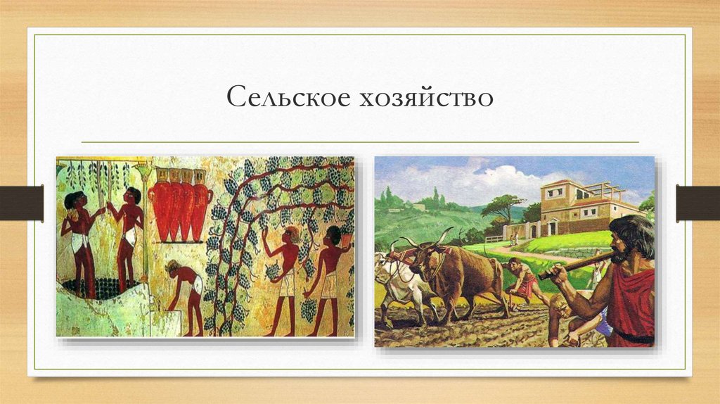 Сельское хозяйство