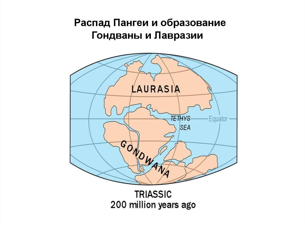 Материк пангея картинки