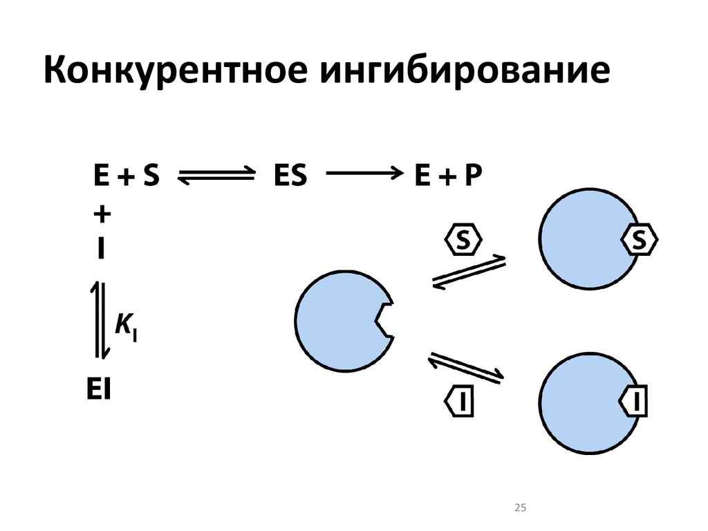 Схема конкурентного ингибирования