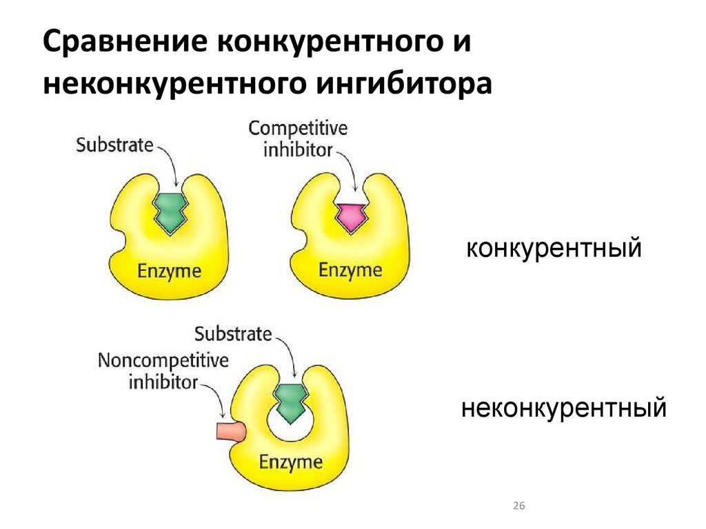 Схема конкурентного ингибирования