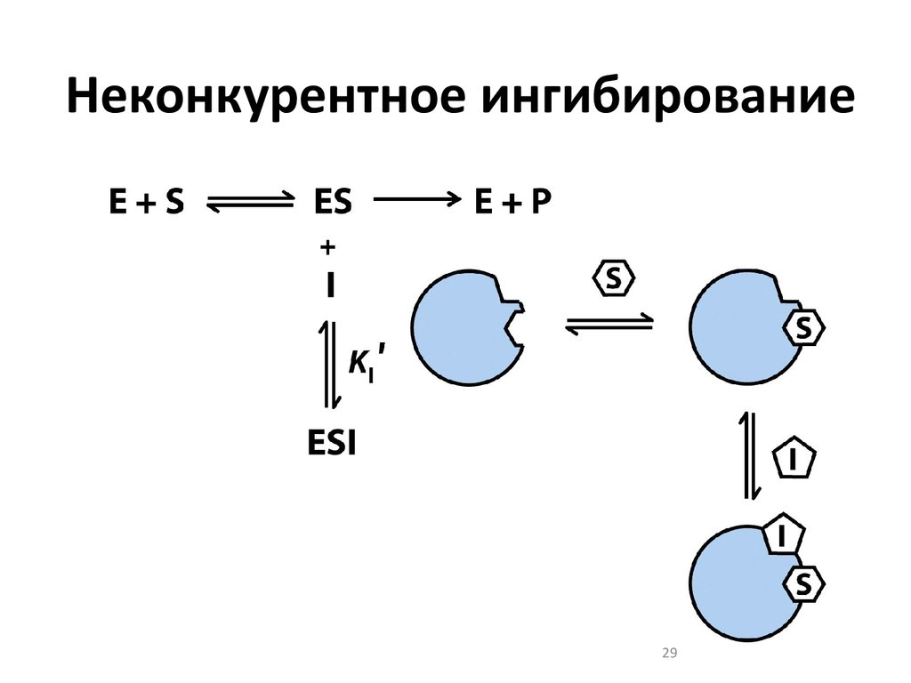 Схема конкурентного ингибирования