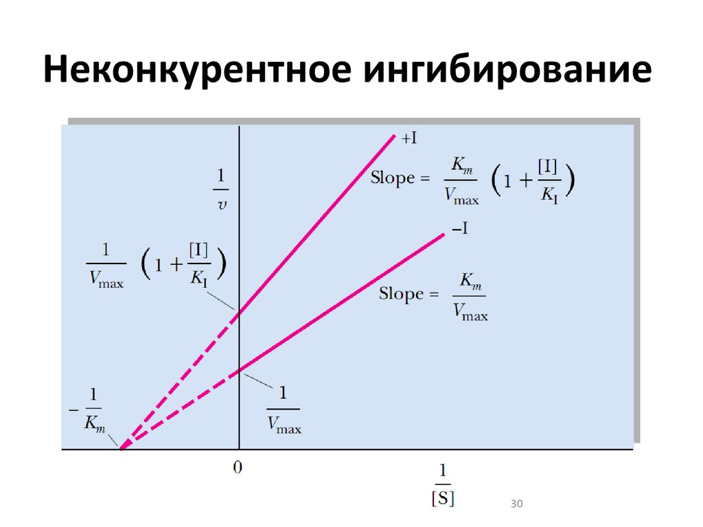 Неконкурентное ингибирование схема