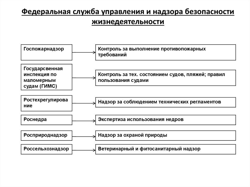 Специальные виды надзора. Органы федерального надзора. Виды надзора БЖД. Органы безопасности жизнедеятельности. Федеральные службы контроль и надзор.